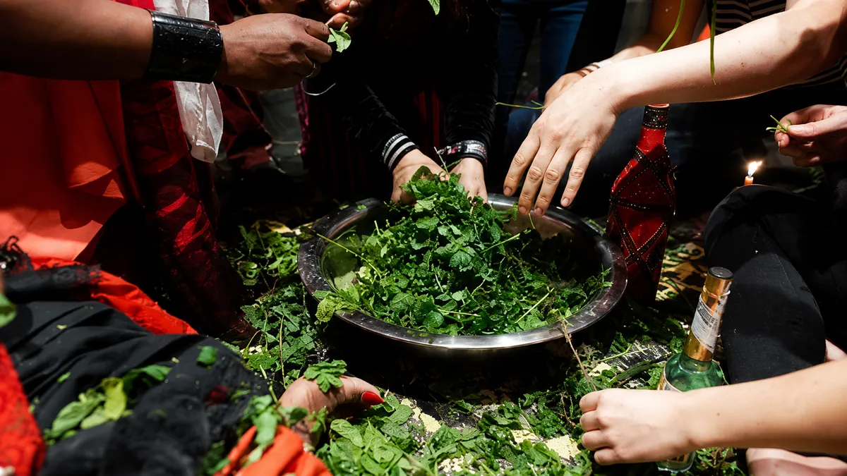 Mains puisant des plantes fraîches dans une bassine lors d'une préparation rituelle
